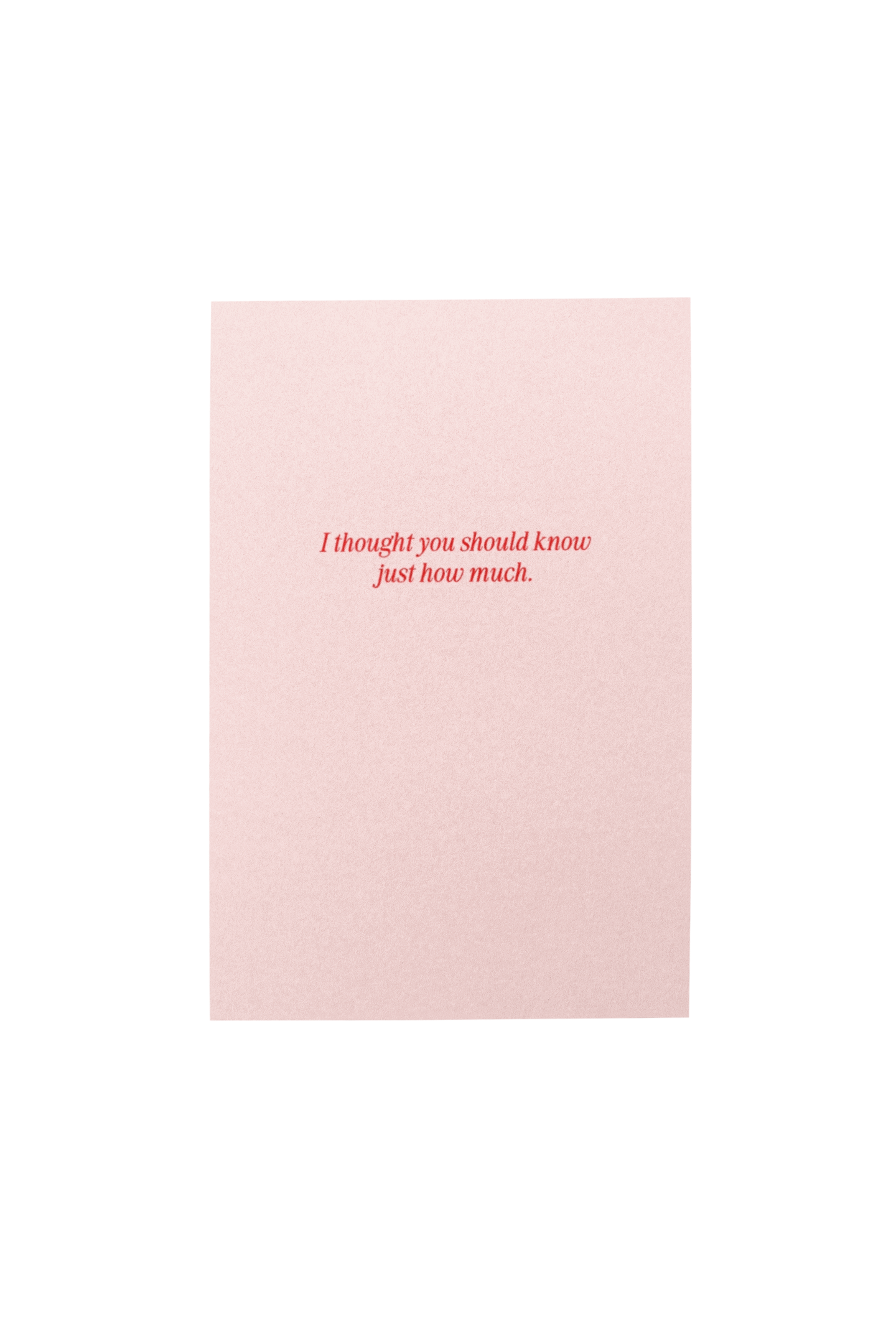 love you, girlfriend | birthday collection